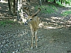 DSC03702.JPG