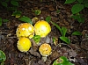 DSC03719.JPG