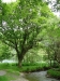 41Irlande036.JPG