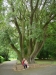 41Irlande040.JPG