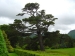 41Irlande090.JPG