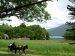 41Irlande095.JPG