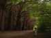 41Irlande158.JPG