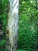 DSC03772.JPG