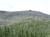 DSC03776.JPG
