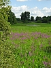 DSC03854.JPG