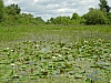 DSC03855.JPG