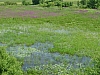 DSC03861.JPG