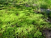 DSC03863.JPG