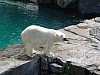 DSC03872.JPG