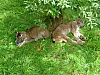 DSC03878.JPG