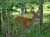 DSC03883.JPG