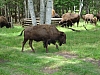 DSC03887.JPG