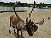 DSC03893.JPG