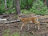 DSC03898.JPG