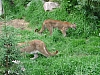 DSC03900.JPG