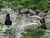 DSC03901.JPG